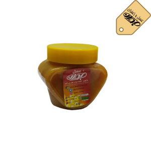 عسل ممتاز رس 500 گرمی